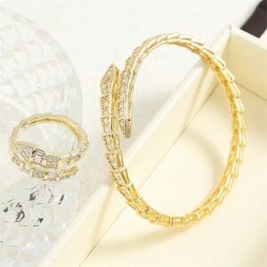 NWOT SNAKE BONE BANGLE AND RING SET